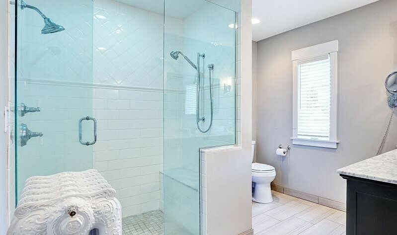 Frameless Shower Door