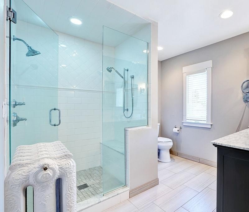 Frameless Shower Door