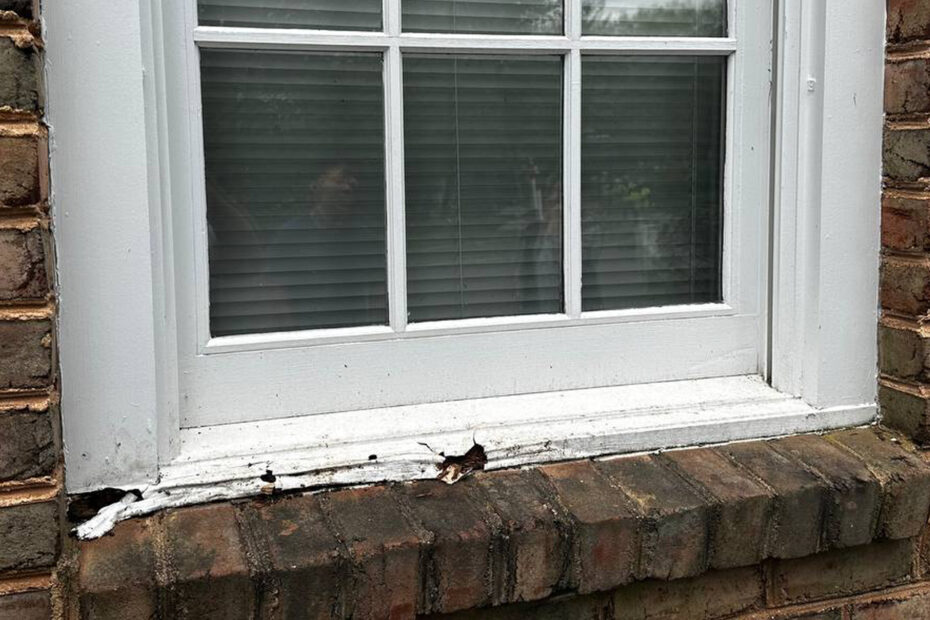 Water-Window-Door 0002